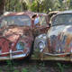 Image for article titled Massive vintage VW 'graveyard' is the latest junkyard casualty